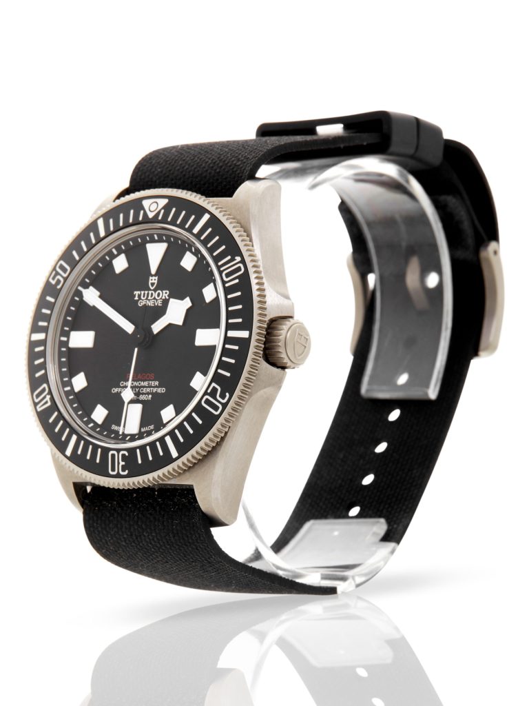 Tudor Pelagos FXD 25717N - image 0